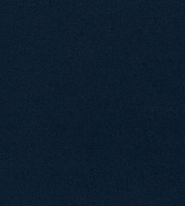 Dorton Fabric by Sanderson Midnight