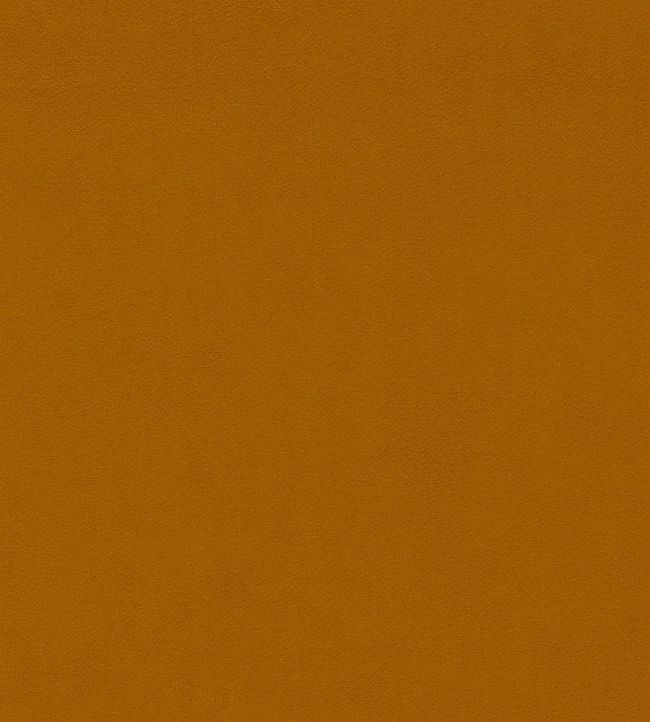 Dorton Fabric by Sanderson Mango