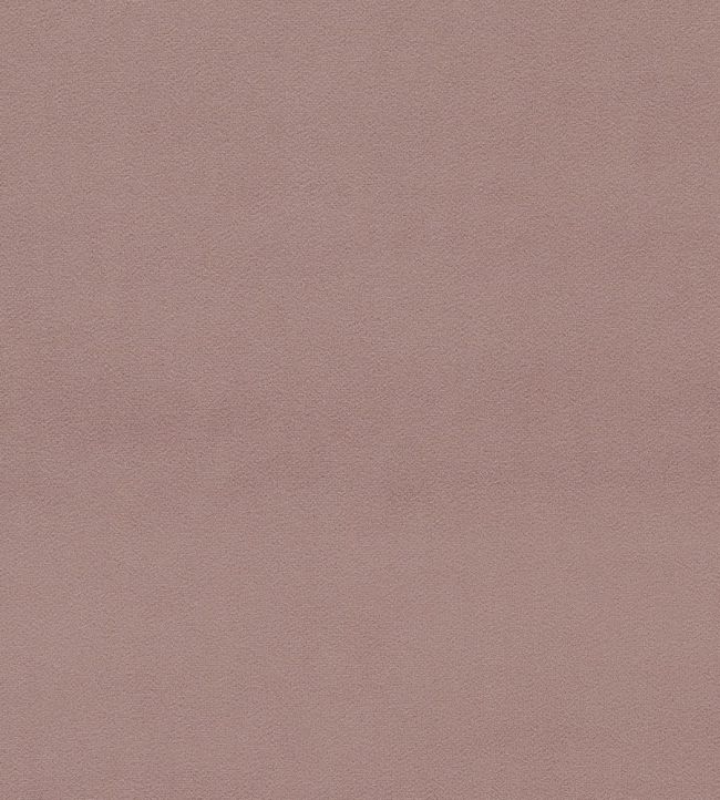 Dorton Fabric by Sanderson Blush