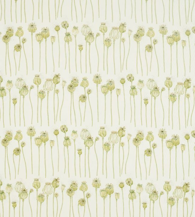 Poppy Pods Fabric by Sanderson Olive/Almond