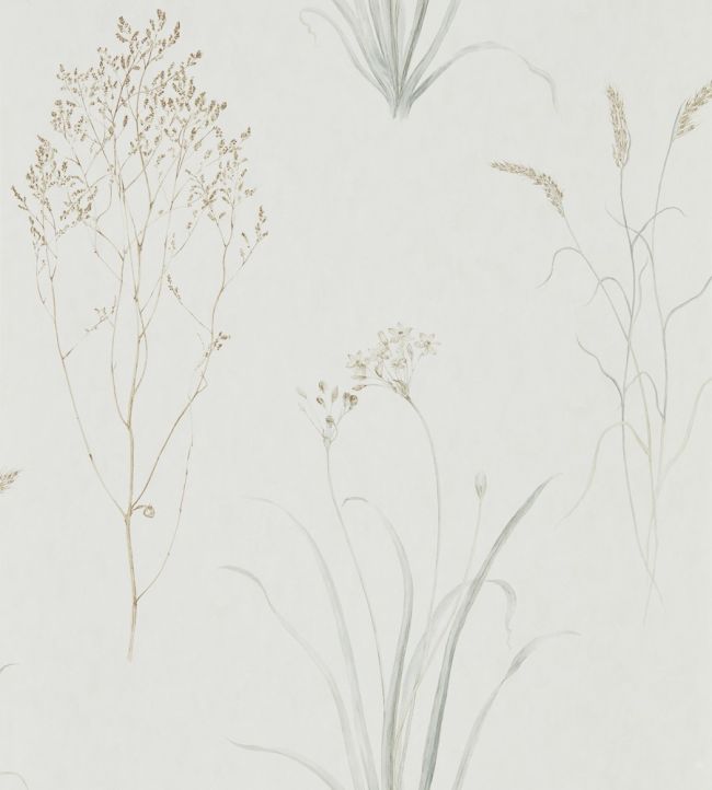 Farne Grasses Wallpaper by Sanderson Silver/Ivory