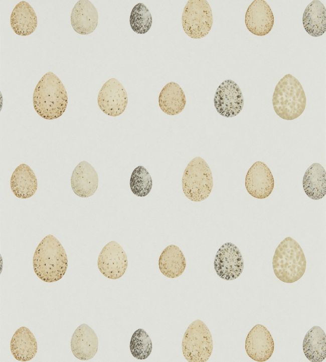 Nest Egg Wallpaper by Sanderson Corn Graphite