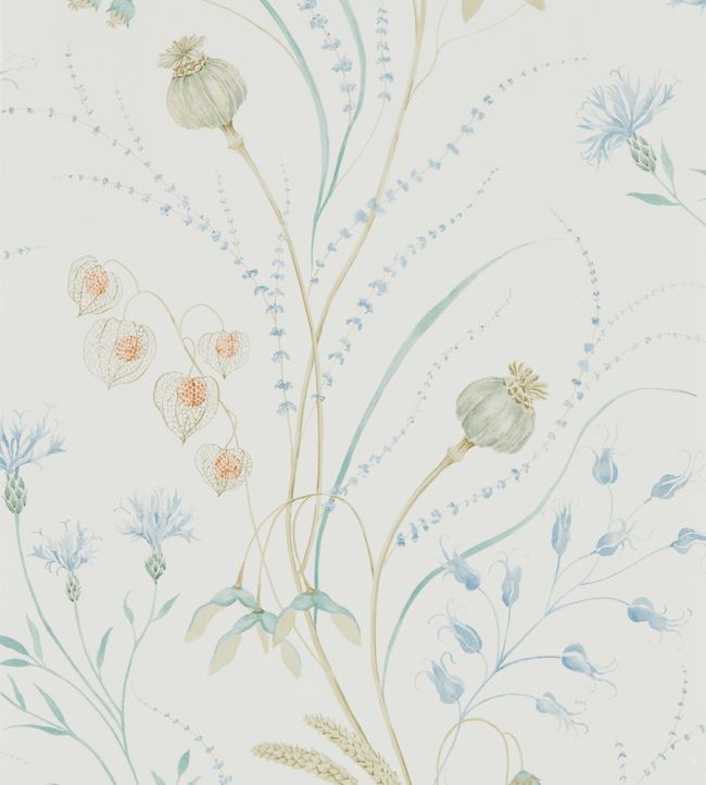 Summer Harvest Wallpaper by Sanderson Cornflower/Wheat