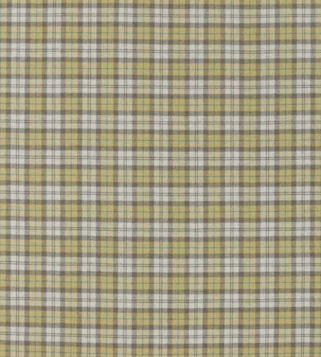 Fenton Check Fabric by Sanderson Check Caraway / Green