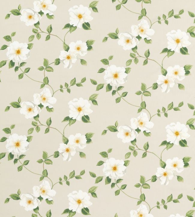 Poets Rose Fabric by Sanderson Linen