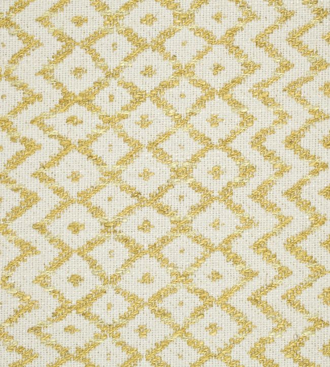 Cheslyn Fabric by Sanderson Citron/Cream