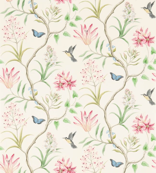 Clementine Wallpaper by Sanderson Chintz