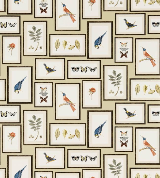 Picture Gallery Wallpaper by Sanderson Sand/Multi