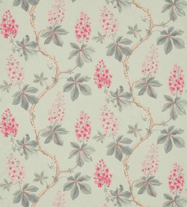 Chestnut Tree Fabric by Sanderson Seaspray/Peony