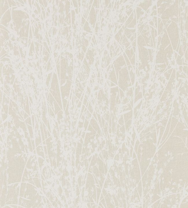 Meadow Canvas Wallpaper by Sanderson White/Parchment