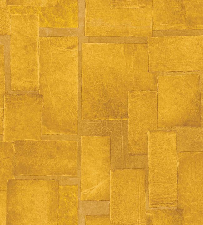 Sangpi Wallpaper by Elitis Eclat de lumiere