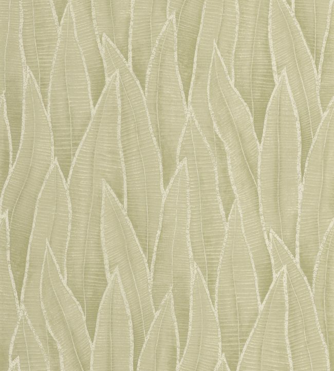 Sansevieria Wallpaper by Casadeco Argile Vert