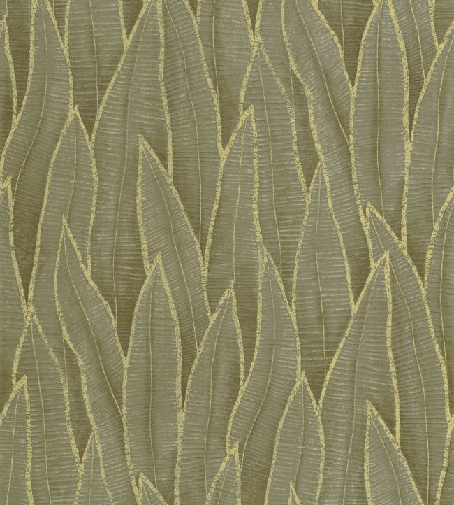Sansevieria Wallpaper by Casadeco Vert Mousse