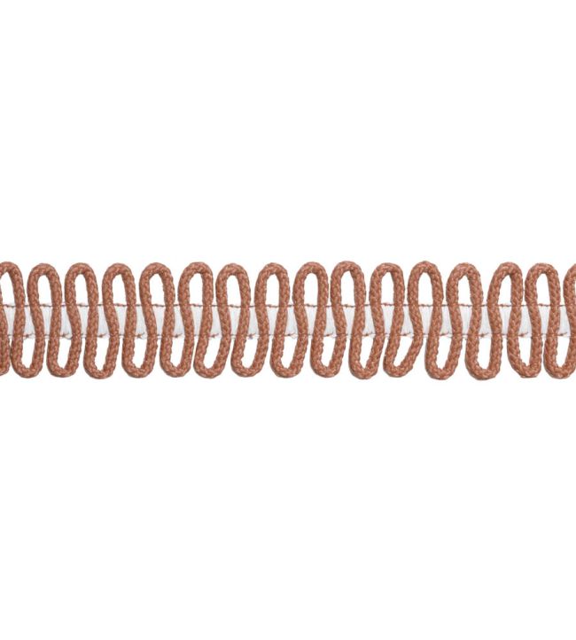 Sashay Applique Trimming by Thibaut Terracotta