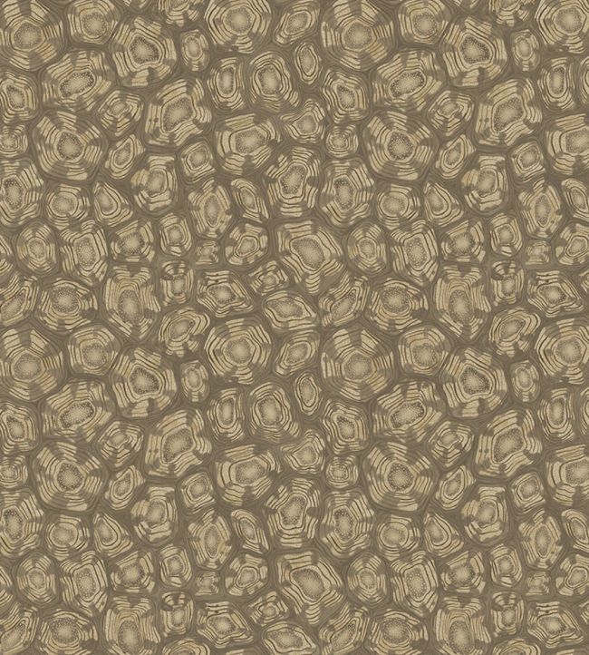 Savanna Shell Wallpaper by Cole & Son Metallic Gilver Cedar & Metallic Gold