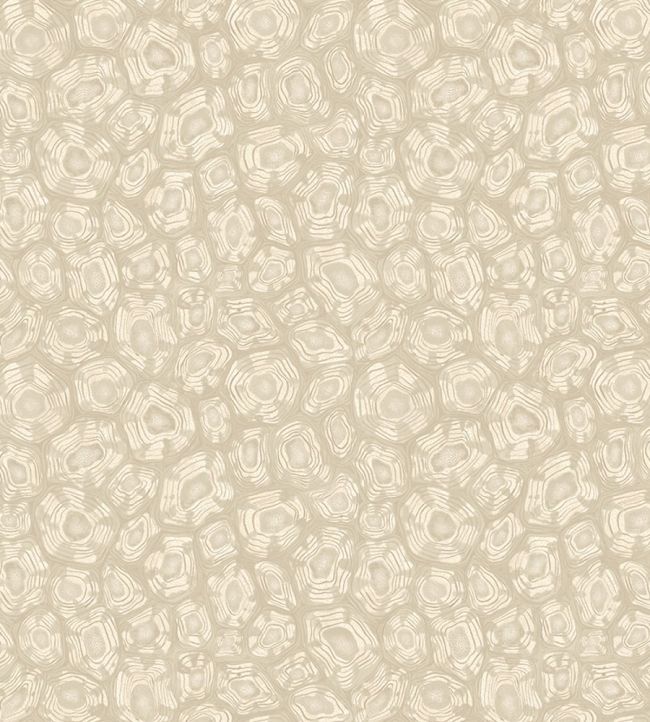 Savanna Shell Wallpaper by Cole & Son Parchment Linen & Metallic Gilver