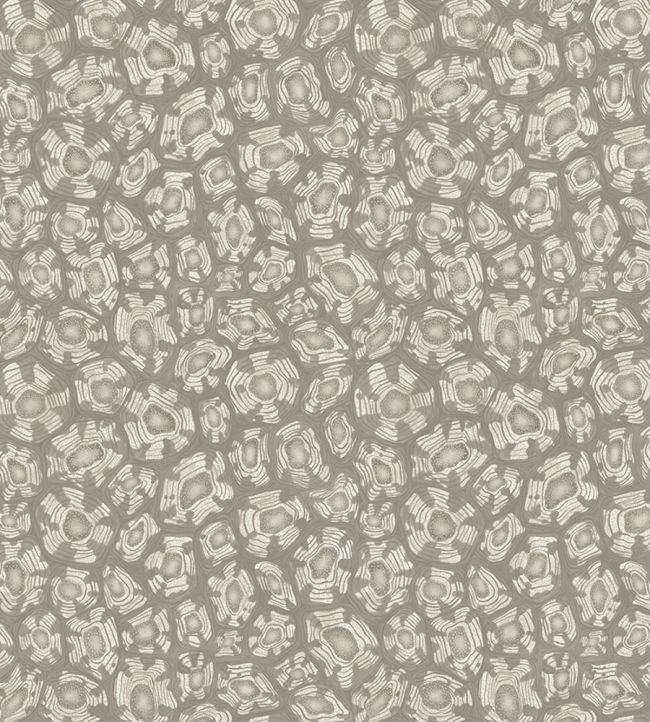 Savanna Shell Wallpaper by Cole & Son Shell Mica Taupe & Matallic Gilver