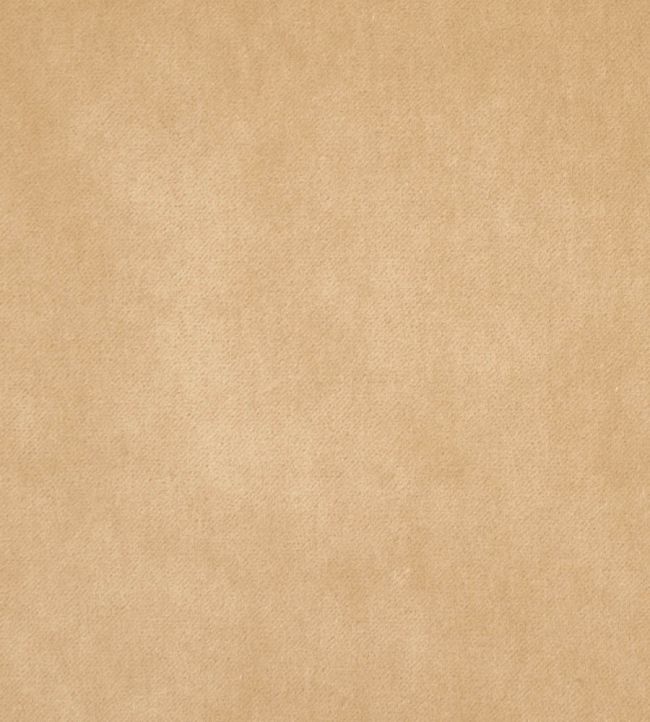 Savona Fabric by Kai Barley