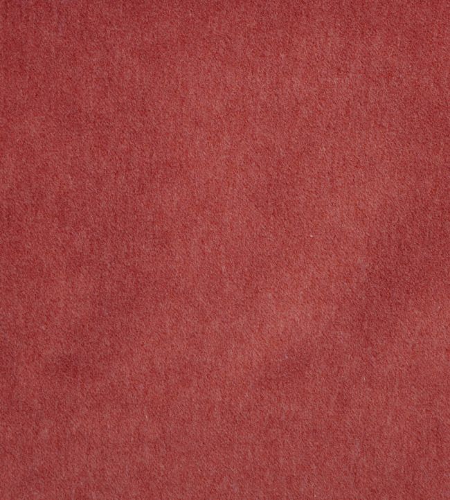 Savona Fabric by Kai Cherry