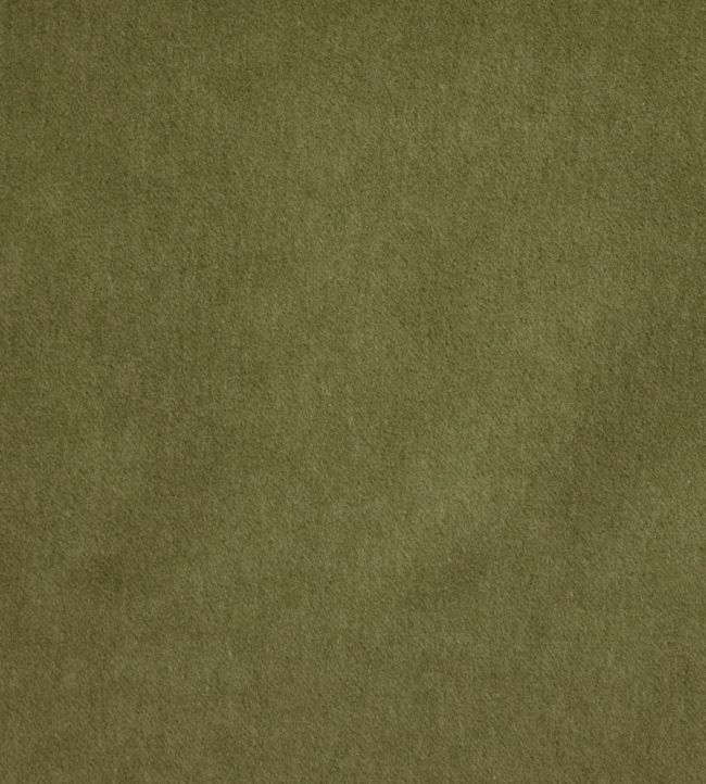 Savona Fabric by Kai Olive