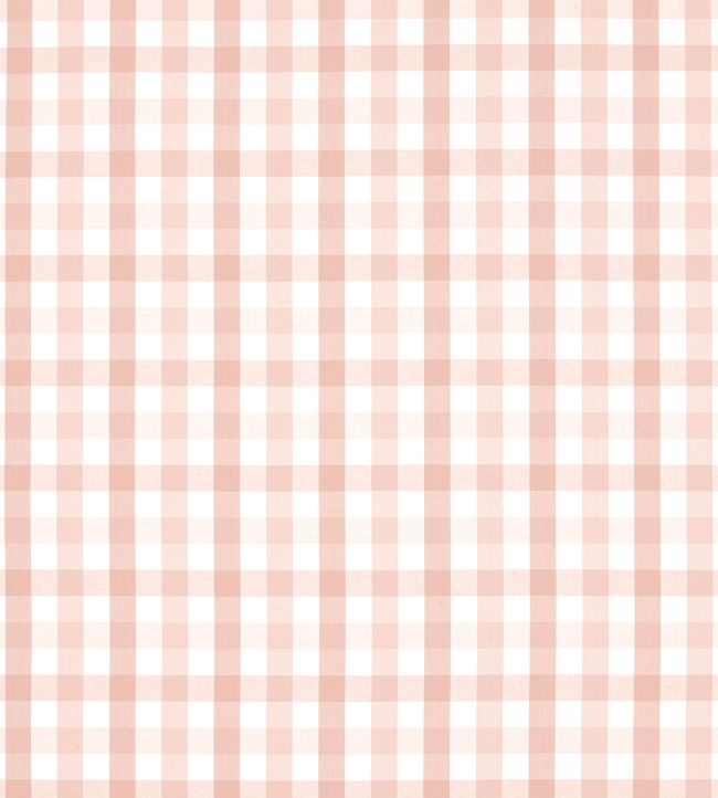 Saybrook Check Fabric by Anna French Blush