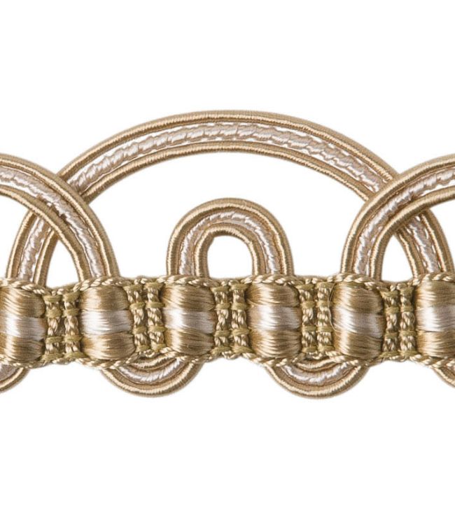 Scarlett Braid 28mm Trimming by Houles 9810
