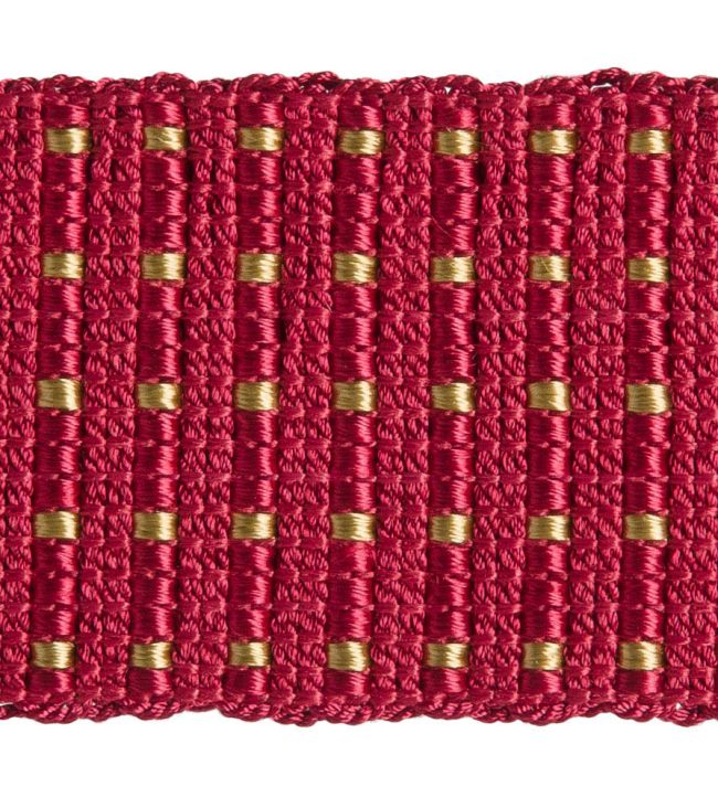 Scarlett Braid 50mm Trimming by Houles 9500