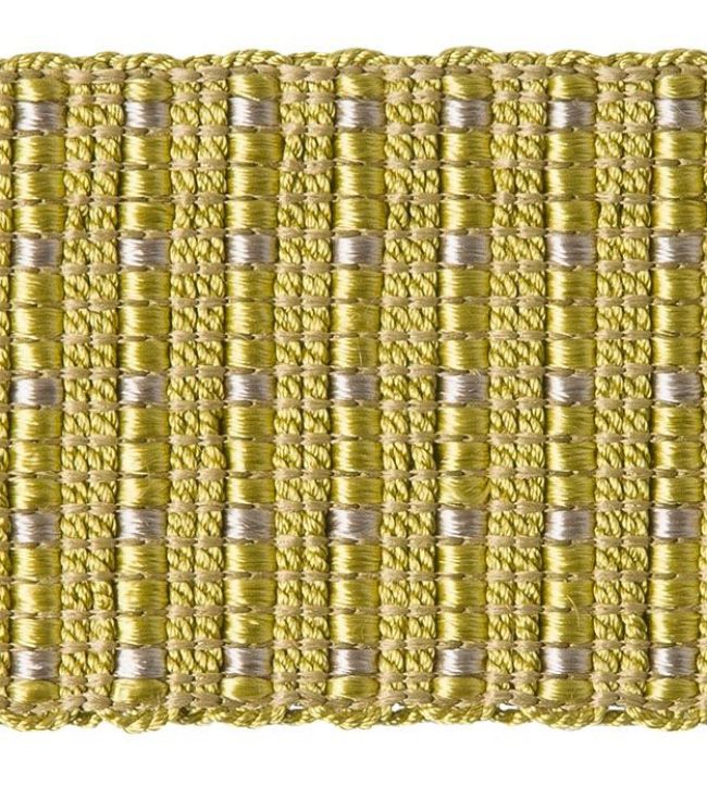 Scarlett Braid 50mm Trimming by Houles 9700