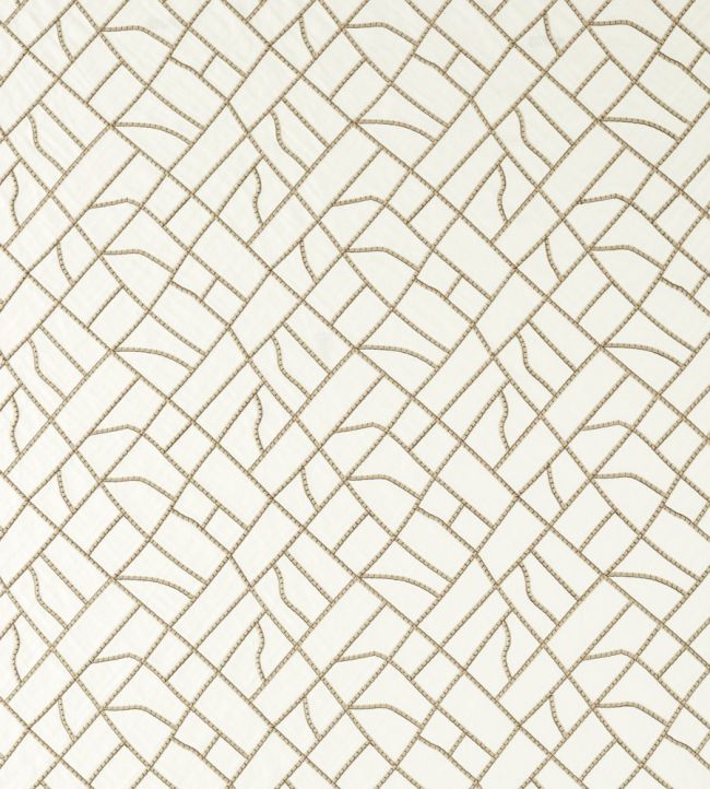 Scipio Fabric by Clarke & Clarke Truffle