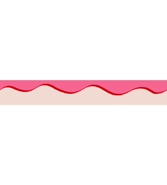 Scroll Border 5cm Wallpaper by Parker & Jules Brilliant Pink