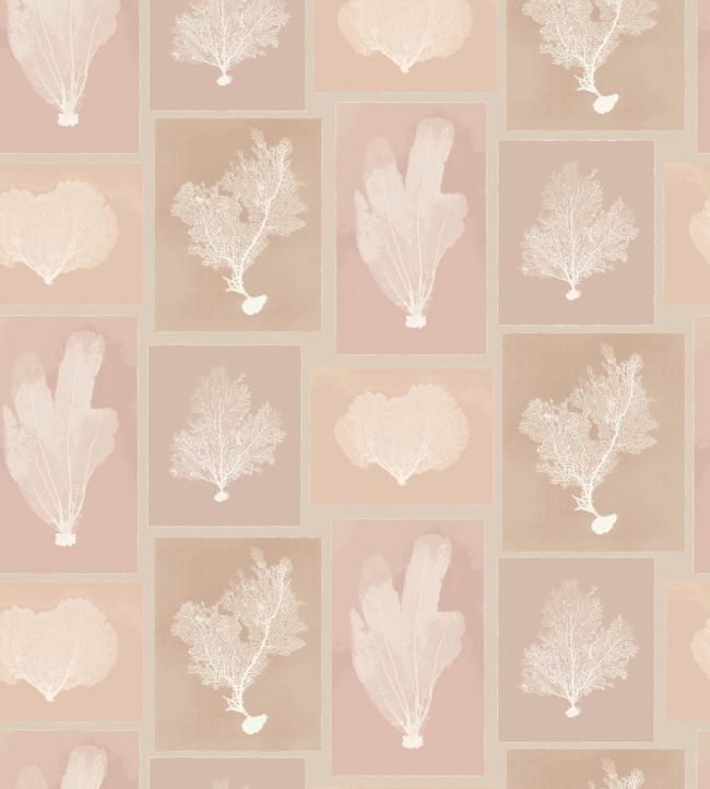 Sea Fans Wallpaper by DADO 02 Blush