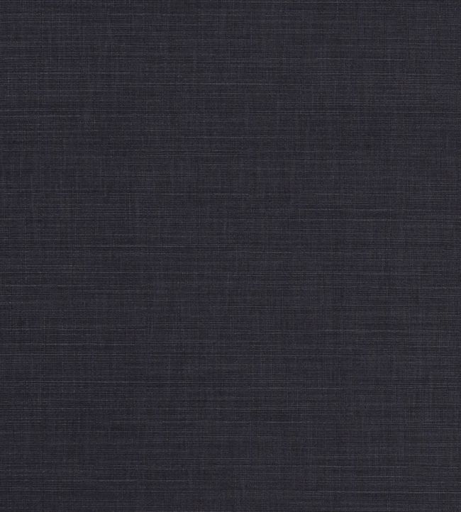 Seda Fabric by Clarke & Clarke Charcoal