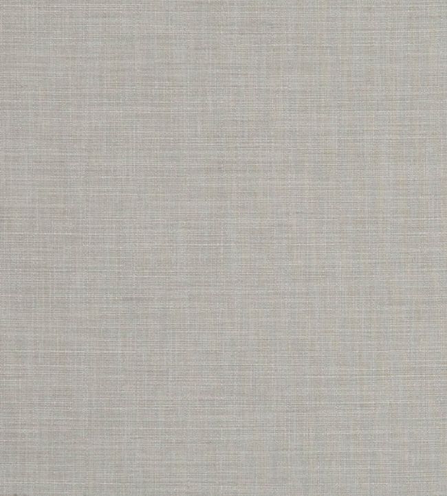 Seda Fabric by Clarke & Clarke Mist