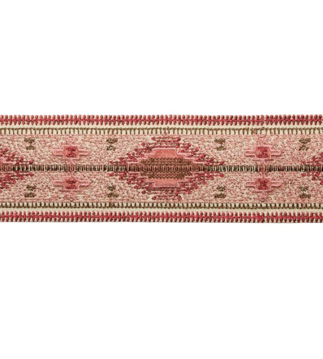 Sedona Embroidered Border Trimming by Samuel & Sons Cactus Bloom