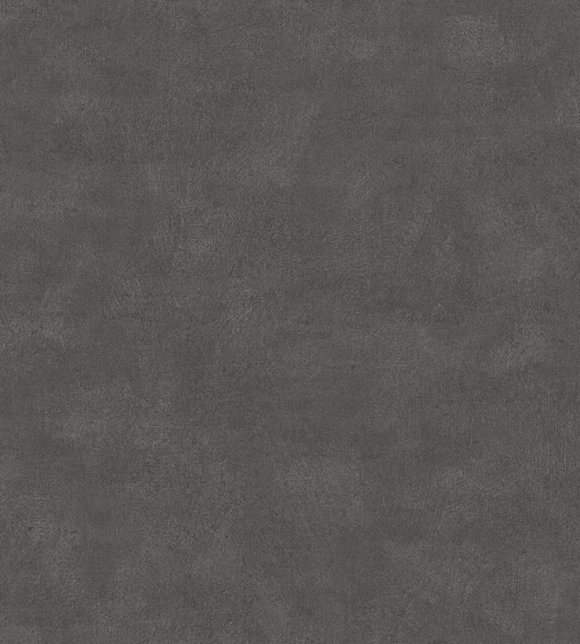Shades Wallpaper by Borastapeter Anthracite