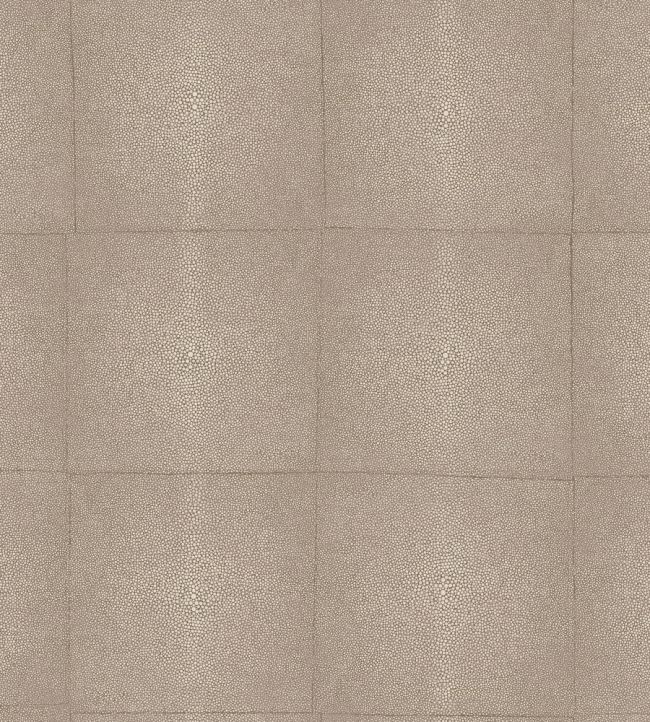Shagreen Wallpaper by Arte Warm Grey