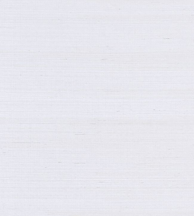 Shang Extra Fine Sisal Wallpaper by Thibaut Cloud