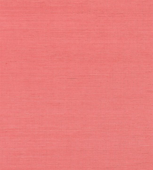 Shang Extra Fine Sisal Wallpaper by Thibaut Coral