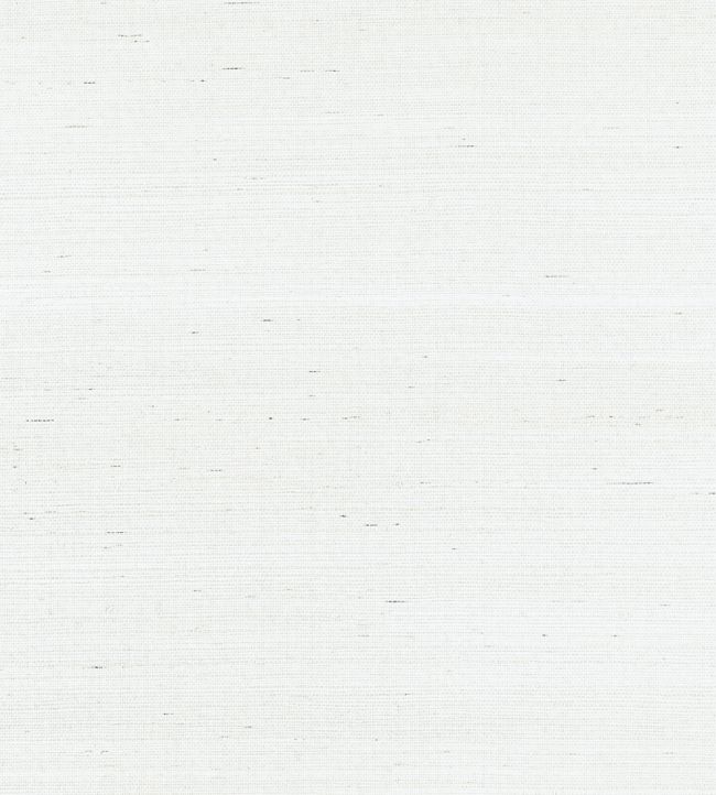 Shang Extra Fine Sisal Wallpaper by Thibaut Ice