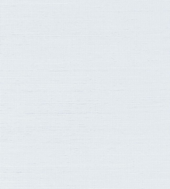 Shang Extra Fine Sisal Wallpaper by Thibaut Mist