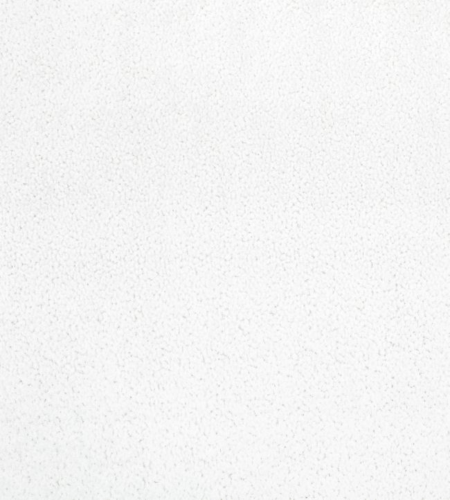 Shearling Fabric by Zinc Blizzard