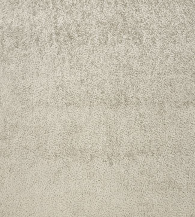 Shearling Fabric by Zinc Driftwood