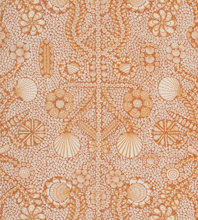 Shell Grotto Fabric by Fermoie Orange