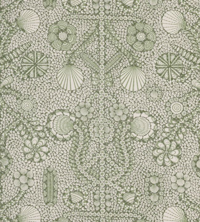 Shell Grotto Fabric by Fermoie Avocado
