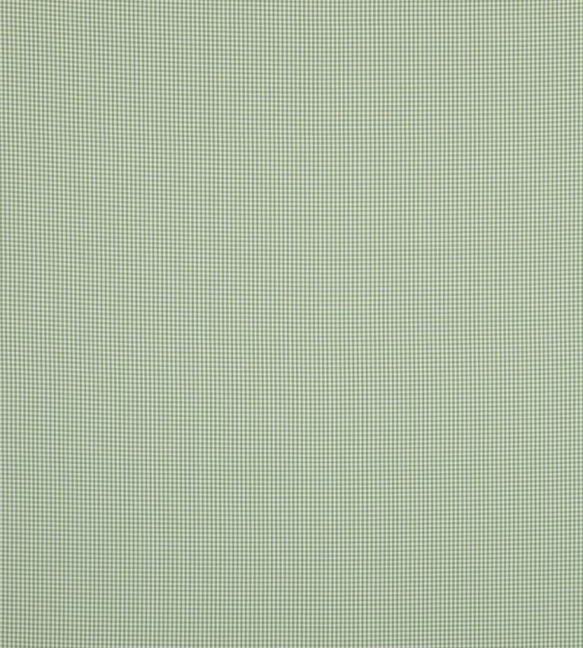 Sherborne Gingham Fabric by Baker Lifestyle Green