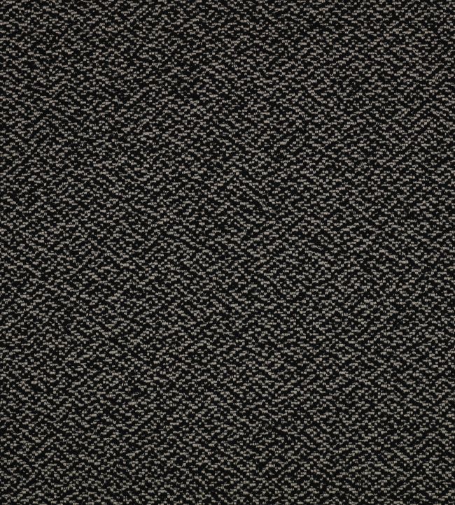 Shore Recycled Fabric by Kirkby Design Noir