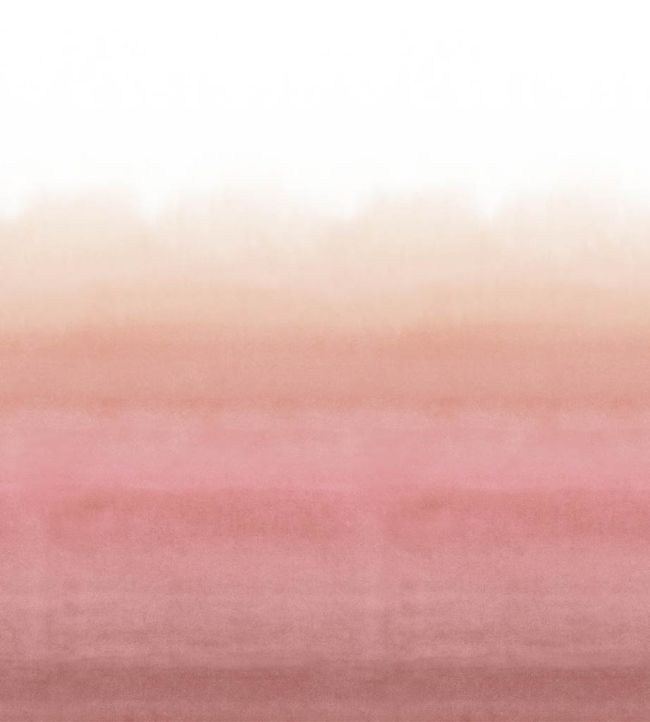 Shoshi Mural by Designers Guild Coral