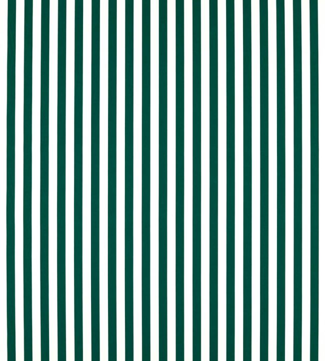 Sicily Outdoor Fabric by Clarke & Clarke Forest