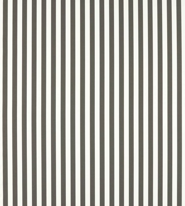 Sicily Outdoor Fabric by Clarke & Clarke Grey