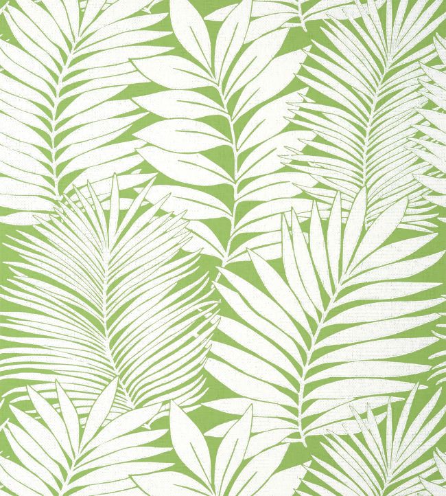 Siesta Key Wallpaper by Thibaut Green